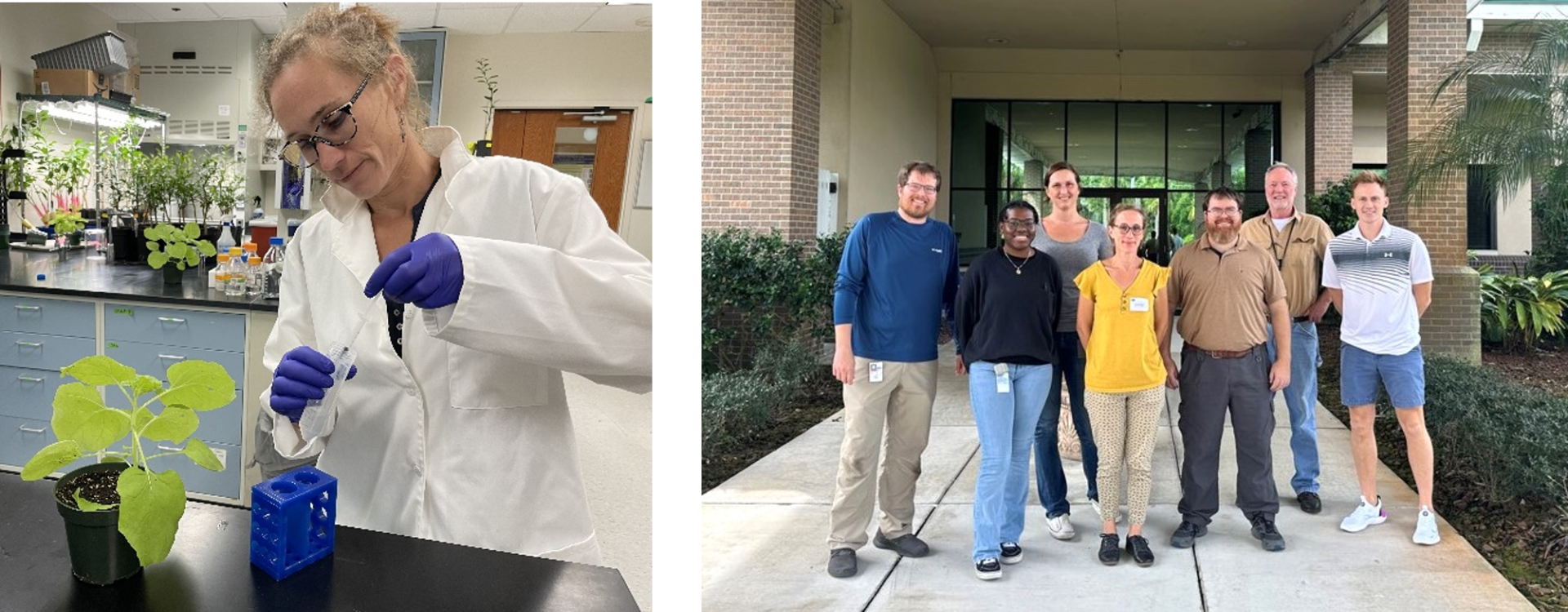 (Left) Mélanie Tannières working in the lab (Right) The host team at the U.S. Horticultural Research Laboratory (USDA-ARS) in Fort Pierce, FL